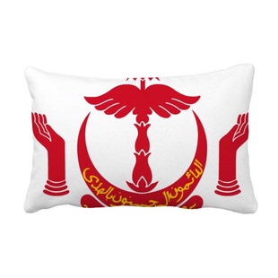 文莱斯里巴加湾市国徽抱枕靠枕腰枕沙发靠垫双面含芯礼物安全午睡