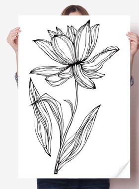 荷花黑色线条花卉植物海报贴纸80x55cm墙贴纸卧室家居装饰