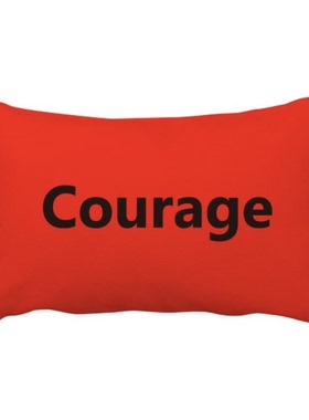 勇气Courage英文名言励志词抱枕靠枕腰枕沙发靠垫双面含芯礼物