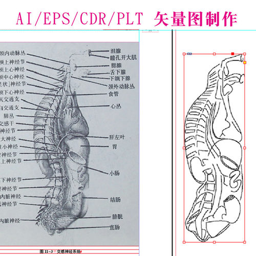 海报抠图雕刻线条摆件
