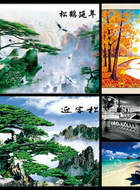 5D风景客厅是立体画米航PET光栅