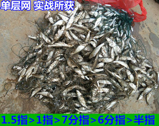 柔丝细丝粘网渔网丝网挂网单层白条渔网半指1指6分眼沉网浮网捕鱼