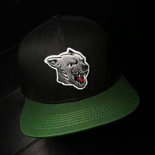 美版 潮牌嘻哈街舞滑板DAWG平檐棒球帽 Junt Shake 现货 市井店