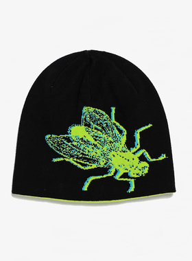 【代购】市井店 Sheisty 美版潮牌嘻哈街舞滑板Flypaper印花冷帽