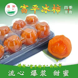 富平冰柿洋阳柿饼爆流心甜蜜烘烤爆浆鲜食陕西特产冰糖心吊冻柿子