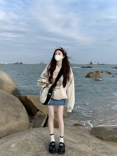 復古可愛動物狗狗圖案潮男女情侶套頭秋冬重磅加厚圓領衛衣 美式