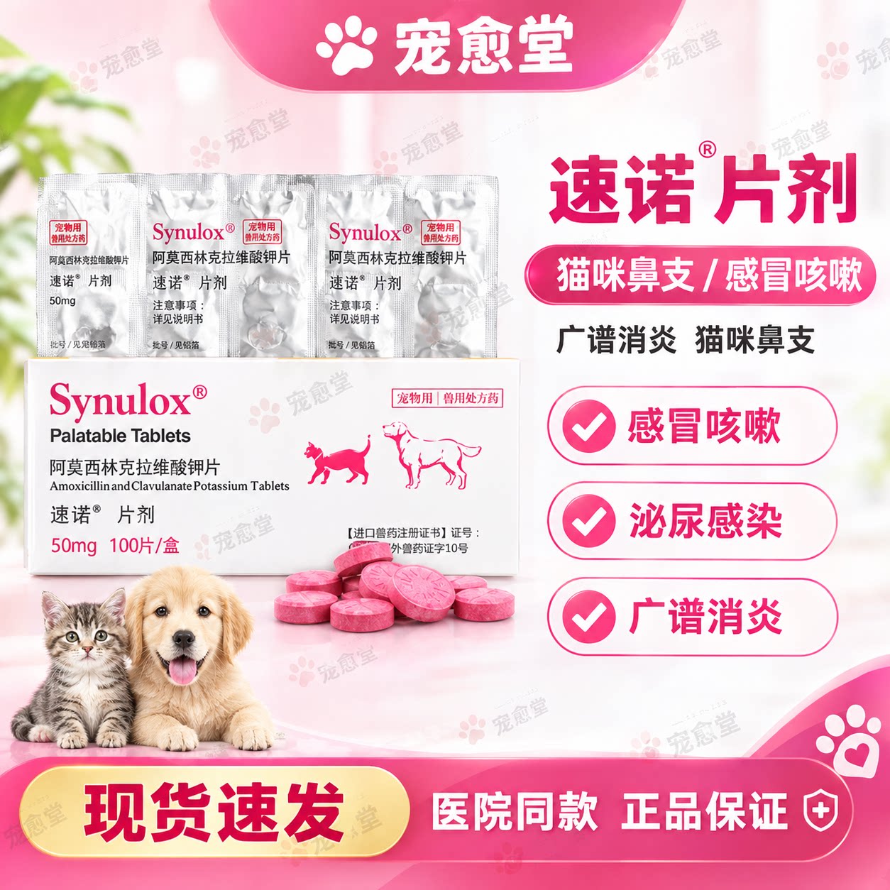 速诺猫狗呼吸道消炎片图片