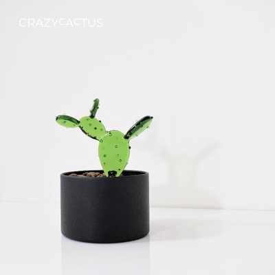 咖啡仙人掌 小盆栽系列  气氛植物摆件 家居装饰 Original Design