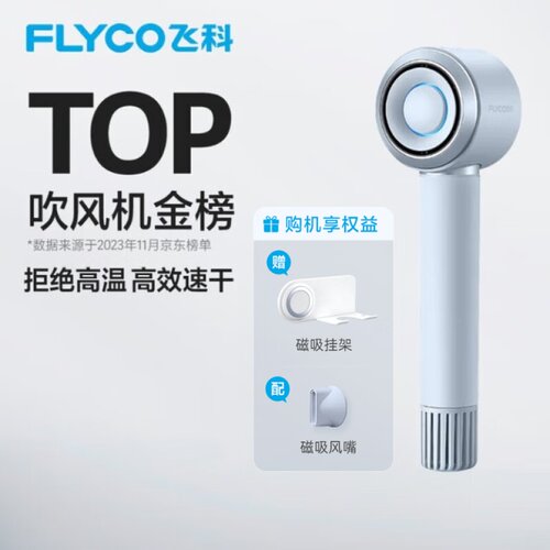 飞科吹风机大功率恒温不伤发家用速干电风筒冷热风宿舍学生FH6231