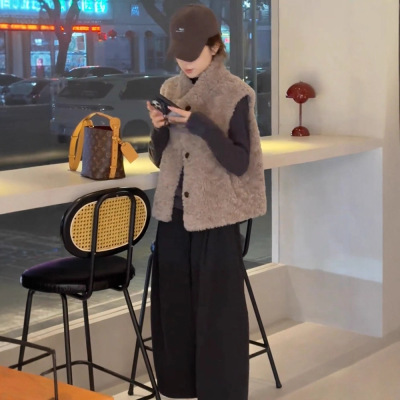 巨好看的立领羊羔毛马甲女款外穿冬2025新款皮毛一体保暖坎肩上衣
