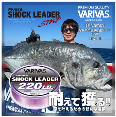 日本原装varivas海洋缓冲波扒