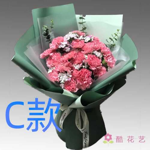 生日慰问康乃馨广西百色花店送花平果县德保县靖西县同城鲜花速递