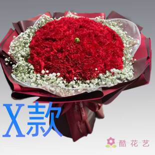 生日康乃馨新疆阿克苏花店送花新和拜城乌什阿瓦提县同城鲜花速递