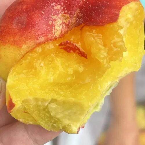 今年新果当季红毛蟠桃新鲜水果