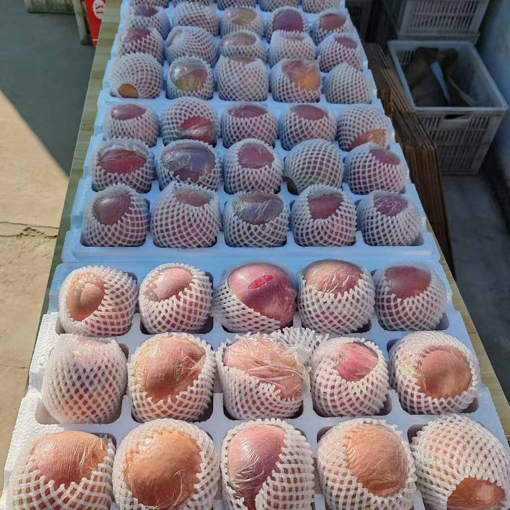 送礼精品大果大沙河苹果