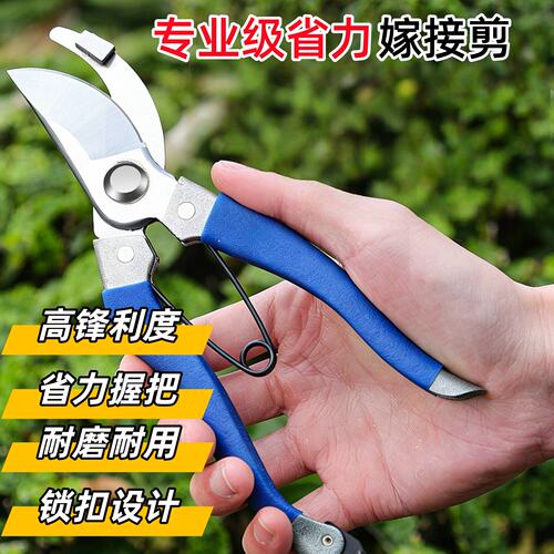 园林修枝剪园艺剪果树花艺嫁接