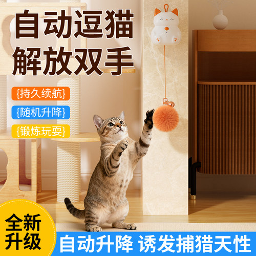 智能猫咪玩具自动逗猫毛球
