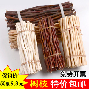 天然树枝环境布置儿童手工材料干枝挂饰幼儿园装饰柳条松果木片