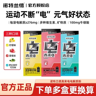 诺特兰德电解质冲剂饮料电解质水运动饮料健身粉0卡糖0能量维生素