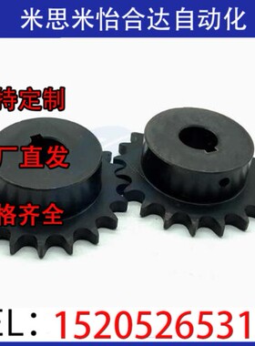 SP40B21-N/S-14/15/16/17/18/19/20/22/24/25/28/30/32/35/40链轮