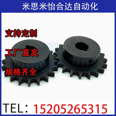 SP40B21-N/S-14/15/16/17/18/19/20/22/24/25/28/30/32/35/40链轮