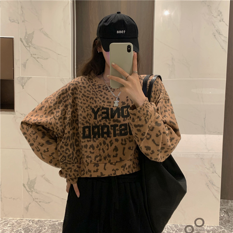 Real shot leopard print short sweater women's spring loose Korean version lazy wind thin high street fried Street top