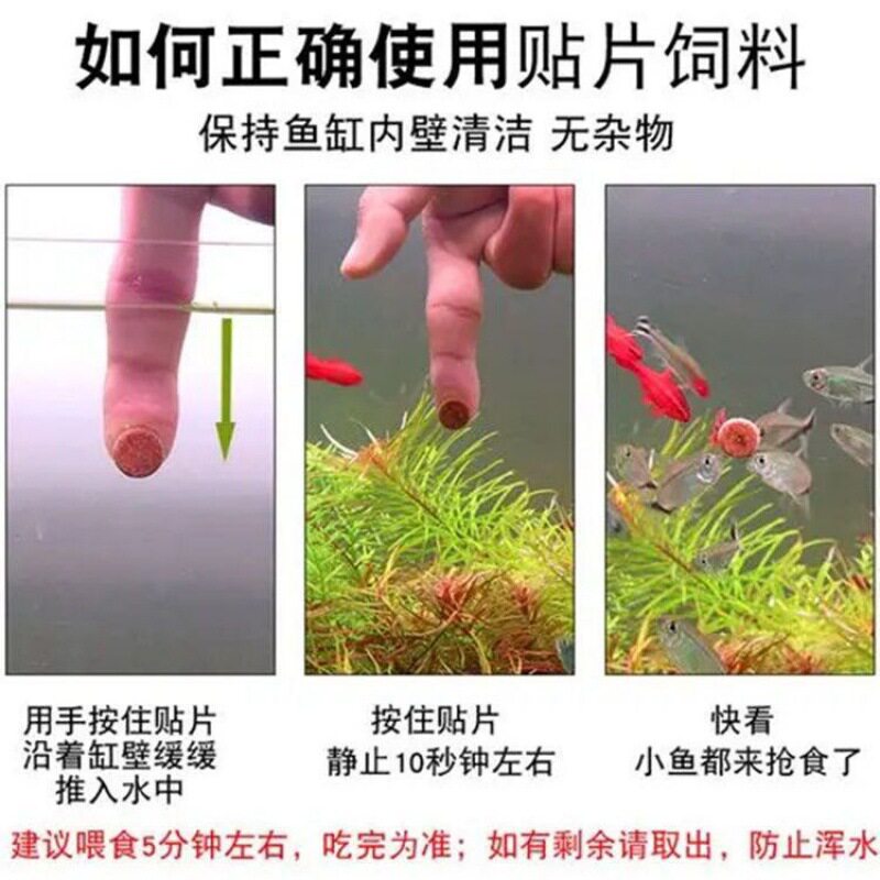 红虫贴片鱼食小型鱼饲料鱼鱼粮斗鱼金鱼热带鱼通用开口丰年虾包邮