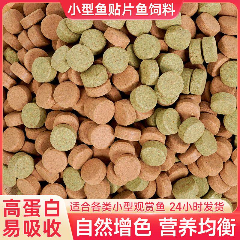 观赏鱼贴片鱼粮热带鱼灯科鱼粮金波子鱼玛丽鱼食丰年虾小型鱼饲料