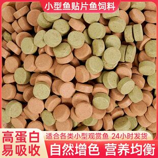 观赏鱼贴片鱼粮热带鱼灯科鱼粮金波子鱼玛丽鱼食丰年虾小型鱼饲料