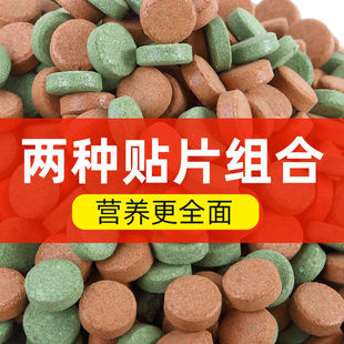 观赏鱼饲料贴片鱼食小型鱼鱼粮孔雀鱼锦鲤灯科斗鱼热带丰年虾