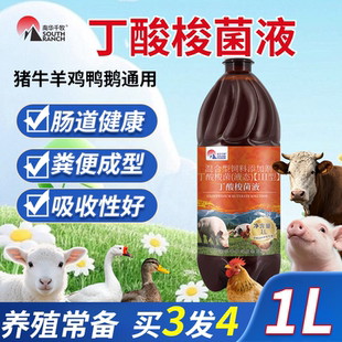 丁酸梭菌液兽用鸡鸭鹅猪牛羊肠道调节益生菌丁酸梭菌种饲料添加剂