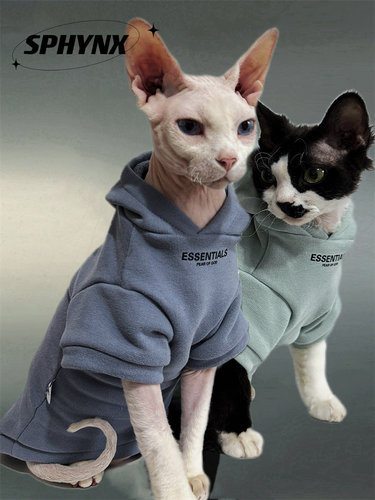 美式潮纯棉加绒猫咪衣服
