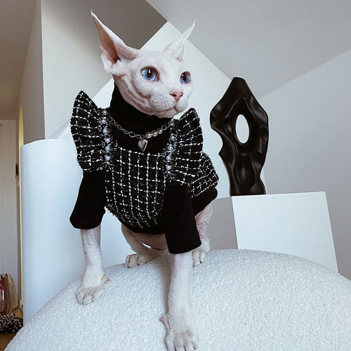 德文衣服无毛猫斯芬克斯裙子