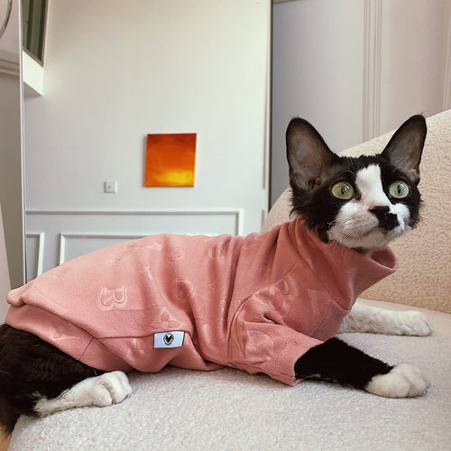 无毛猫星球德文衣服暗花高级感