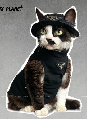 SPHYNX PLANET无毛猫德文猫衣服潮流夏秋新款猫衣服纯棉背心+帽子