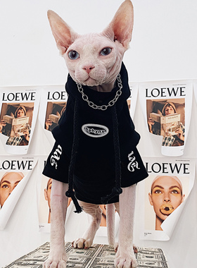 德文衣服无毛猫斯芬克斯饰品不掉色钢百搭潮款猫项链颈链加绒宠物