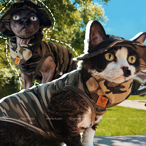 SPHYNX PLANET无毛猫德文猫东短阿比猫衣服夏秋迷彩纯棉背心套装