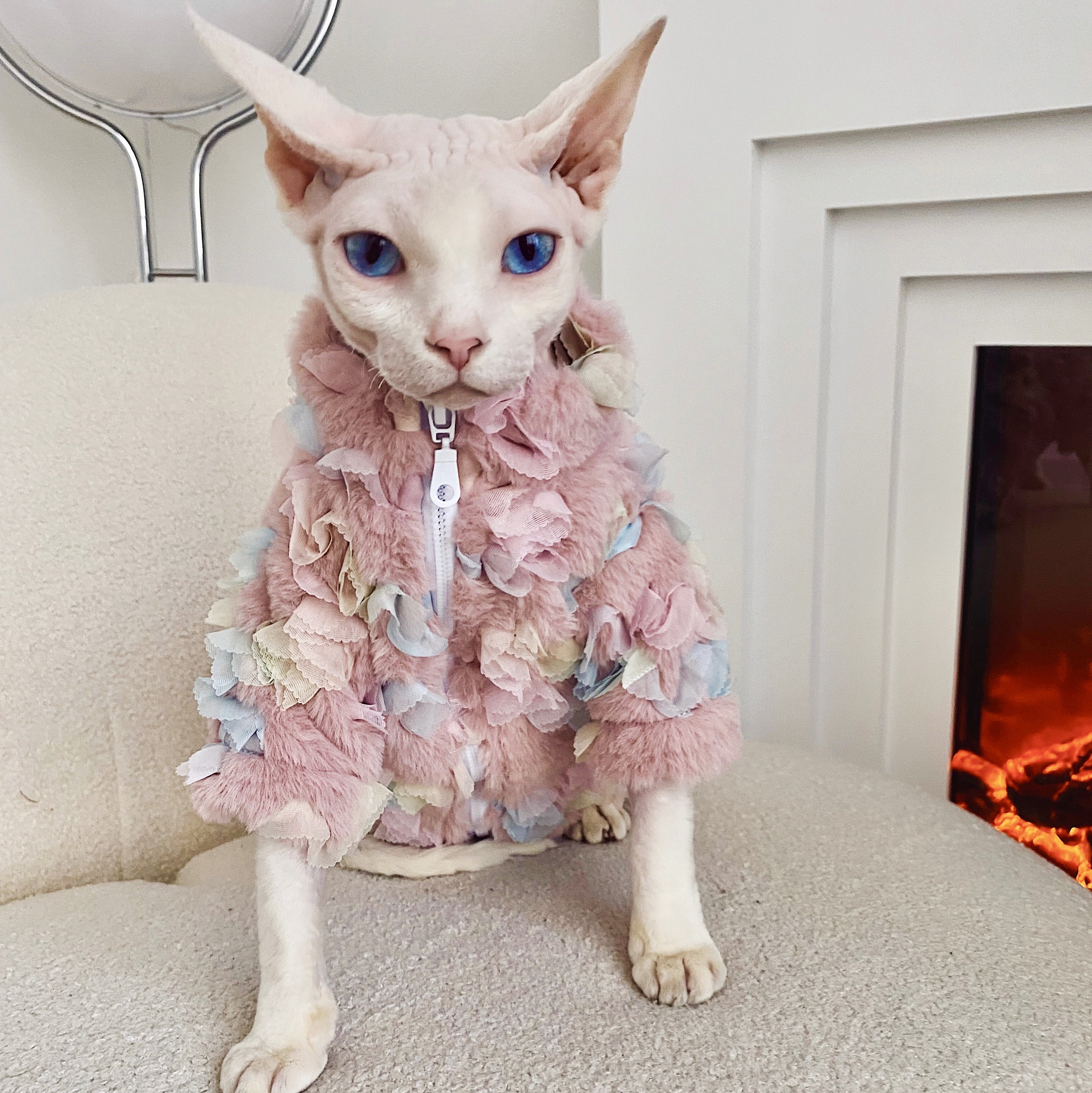 sphynxplanet斯芬克斯猫德文无毛猫衣服秋冬猫咪彩虹皮草外套大衣