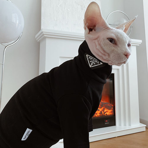 无毛猫星球德文衣服潮款高领打底
