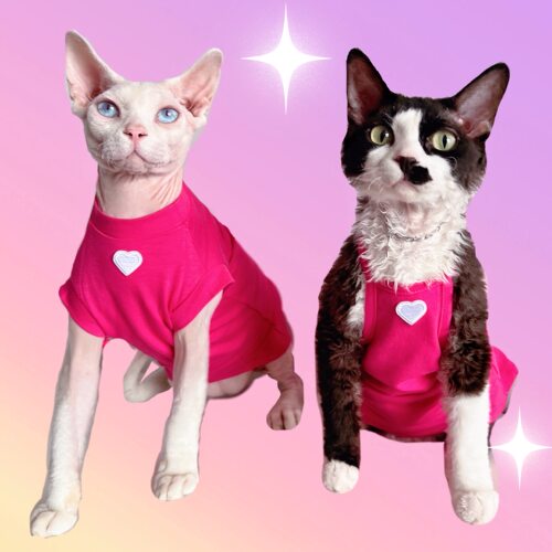 无毛猫星球德文衣服纯棉吊带可爱