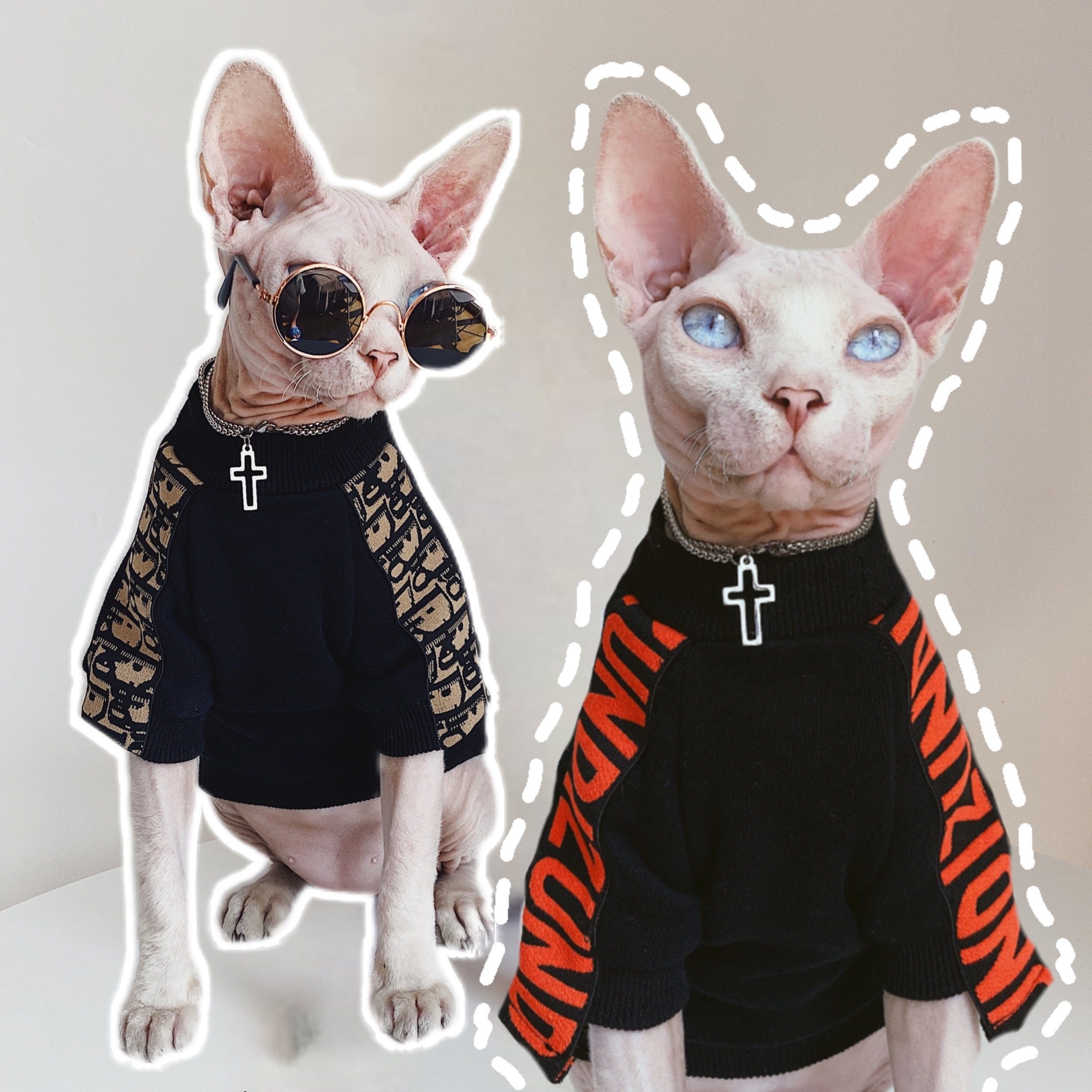 sphynx planet 德文斯芬克斯无毛猫衣服秋冬加绒柔软休闲保暖卫衣