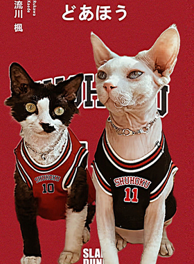 SPHYNX  PLANET德文猫衣服斯芬克斯无毛猫夏季纯棉薄款篮球服猫咪