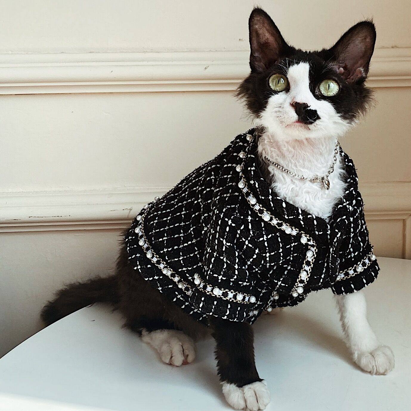 sphynx planet服斯芬克斯德文无毛猫衣服可爱小香风宠物猫咪外套