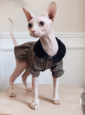 斯芬克斯星球 无毛猫衣服德文 柯尼斯秋冬可爱英伦风格子裙子