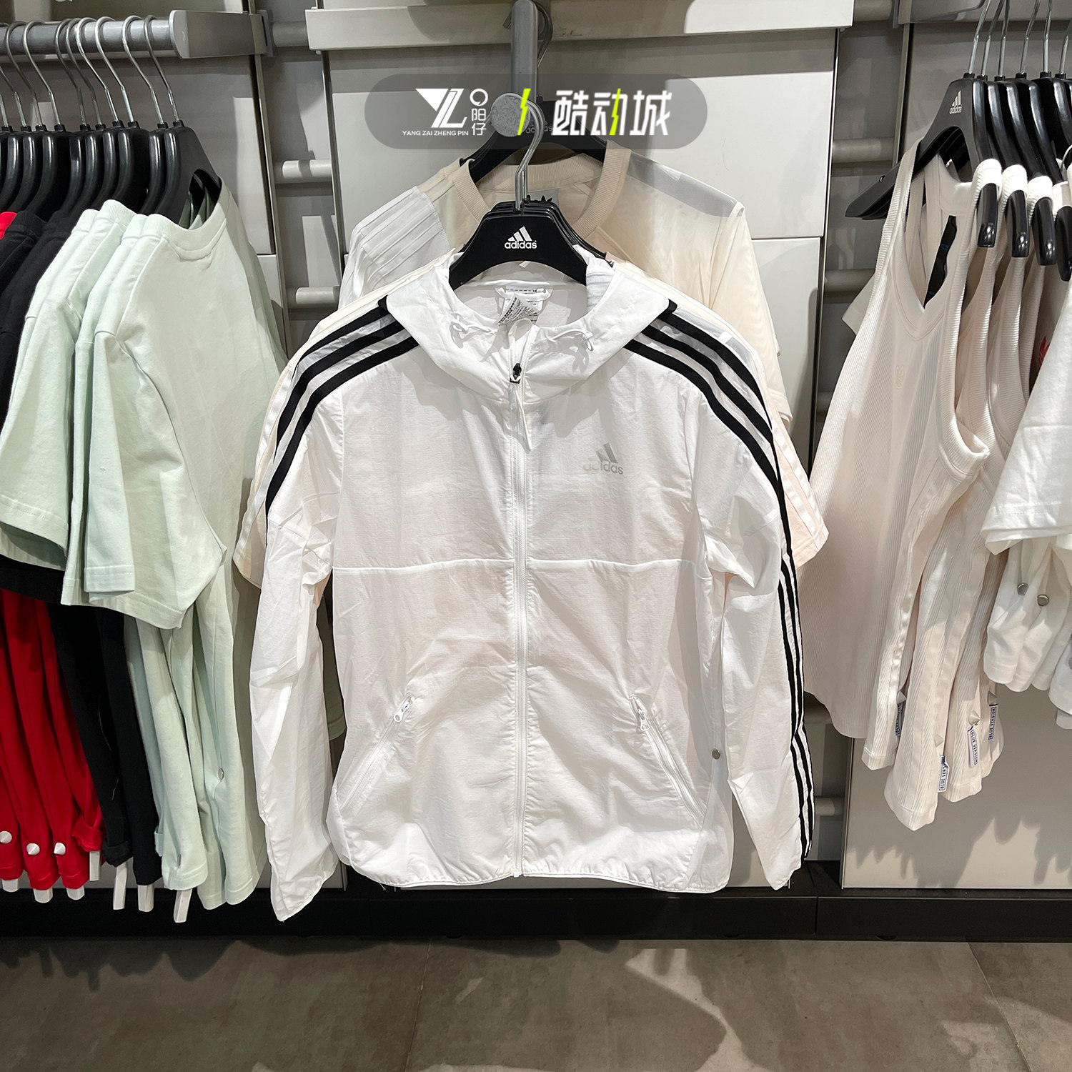 Adidas阿迪达斯女子立领梭织宽松透气防风休闲运动夹克外套GQ0564,运动服/休闲服装,运动茄克/外套,淘宝优惠券,粉丝福利购,淘宝优惠卷