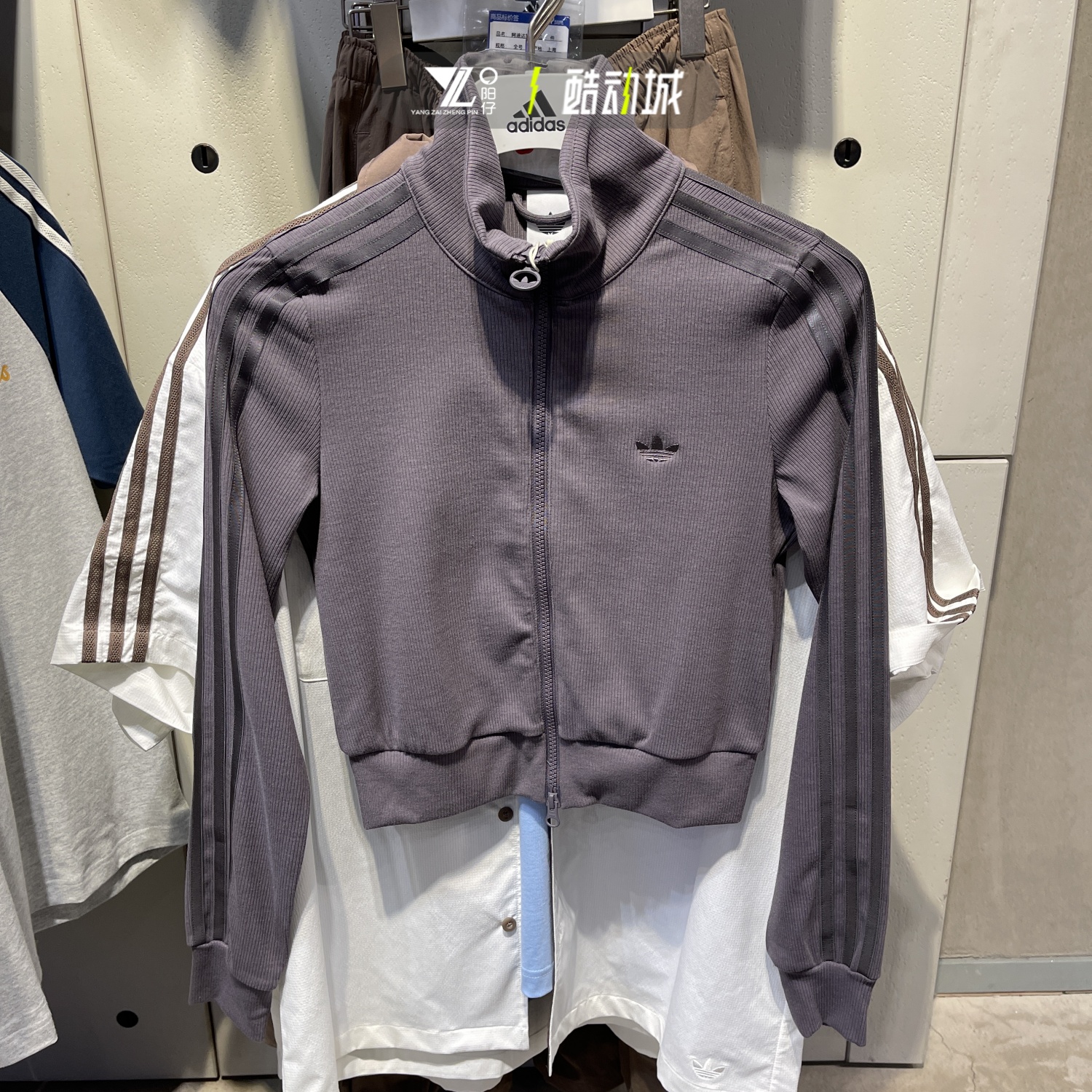 专柜正品Adidas女子简约运动外套