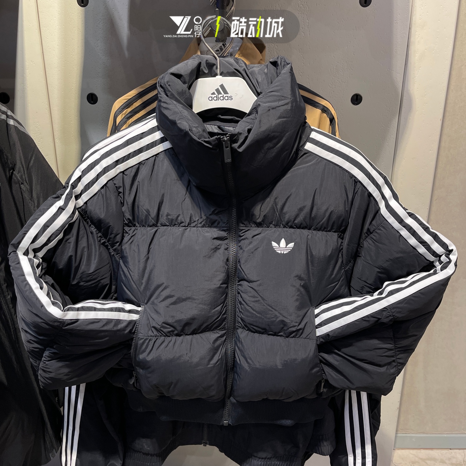 阿迪达斯三叶草女子运动休闲外套