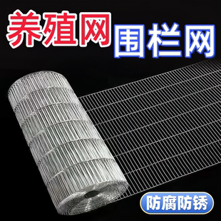 镀锌铁丝网围栏网养殖网片自制鸟笼鸡兔笼鸽子笼不锈钢网格栅防护