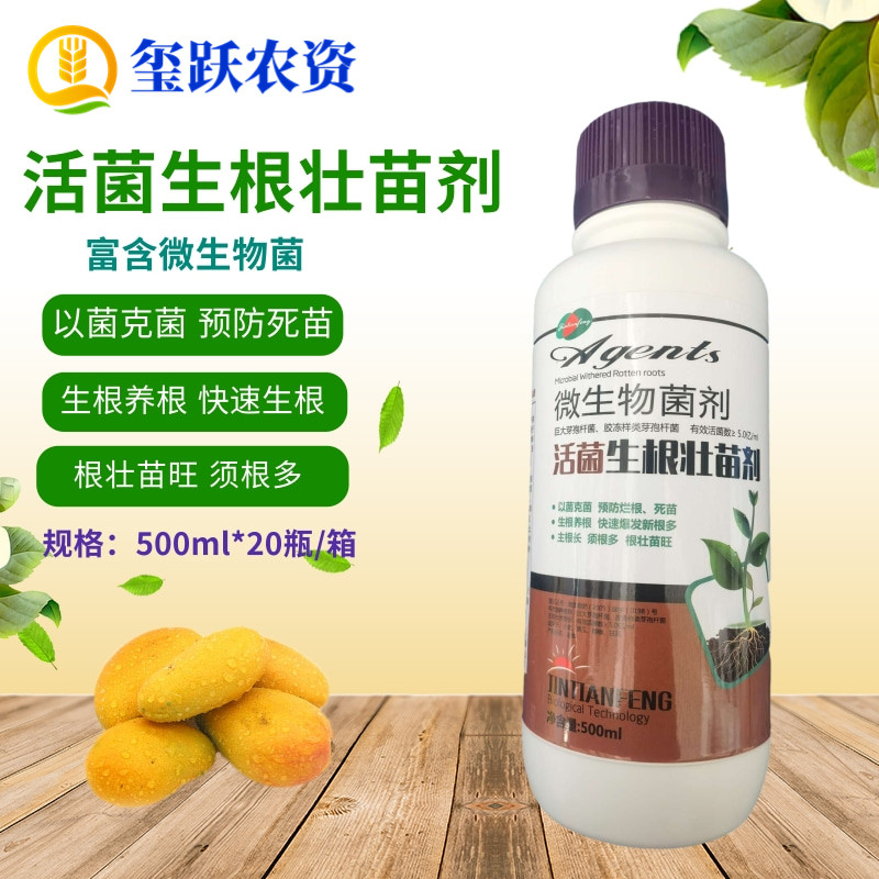 活菌生根壮苗剂 富含微生物菌肥生根壮秧扦插移栽蔬菜果树生根液