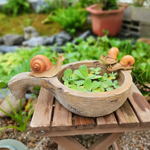 绿萝铜钱草水培花盆无孔带小蜗牛创意花器多肉花盆桌面装 饰礼物